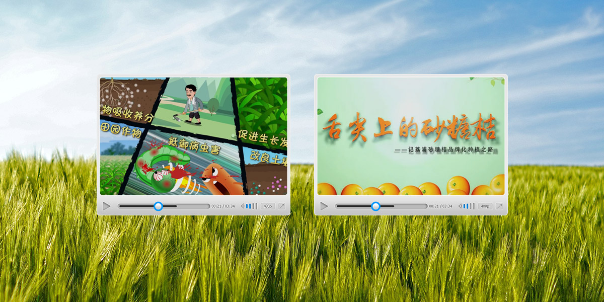 北京世紀阿姆斯微生物生產工藝動畫+品牌化種植之—舌尖上的砂糖桔